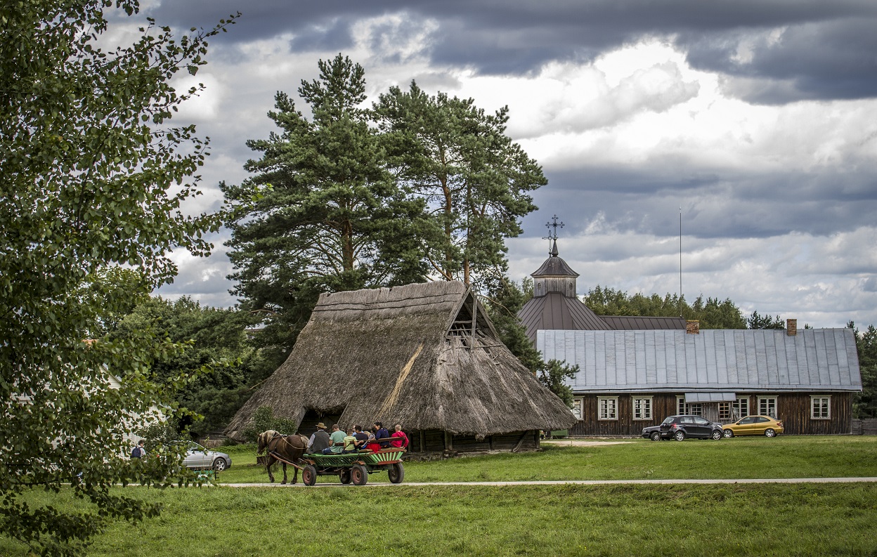 15-llbmgiedresstreikauskaites2016.jpg