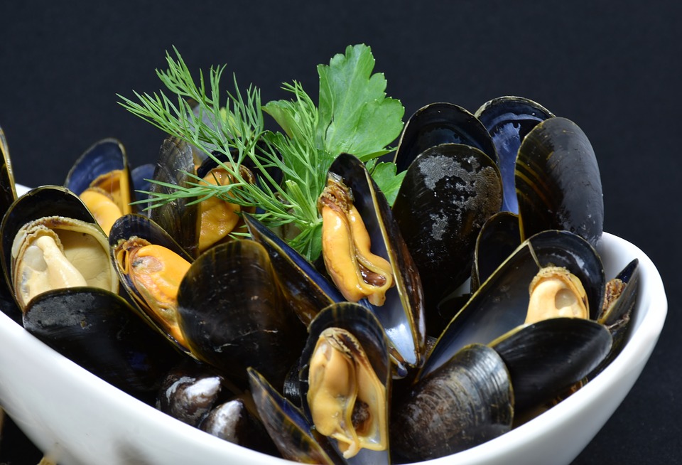 mussels.jpg