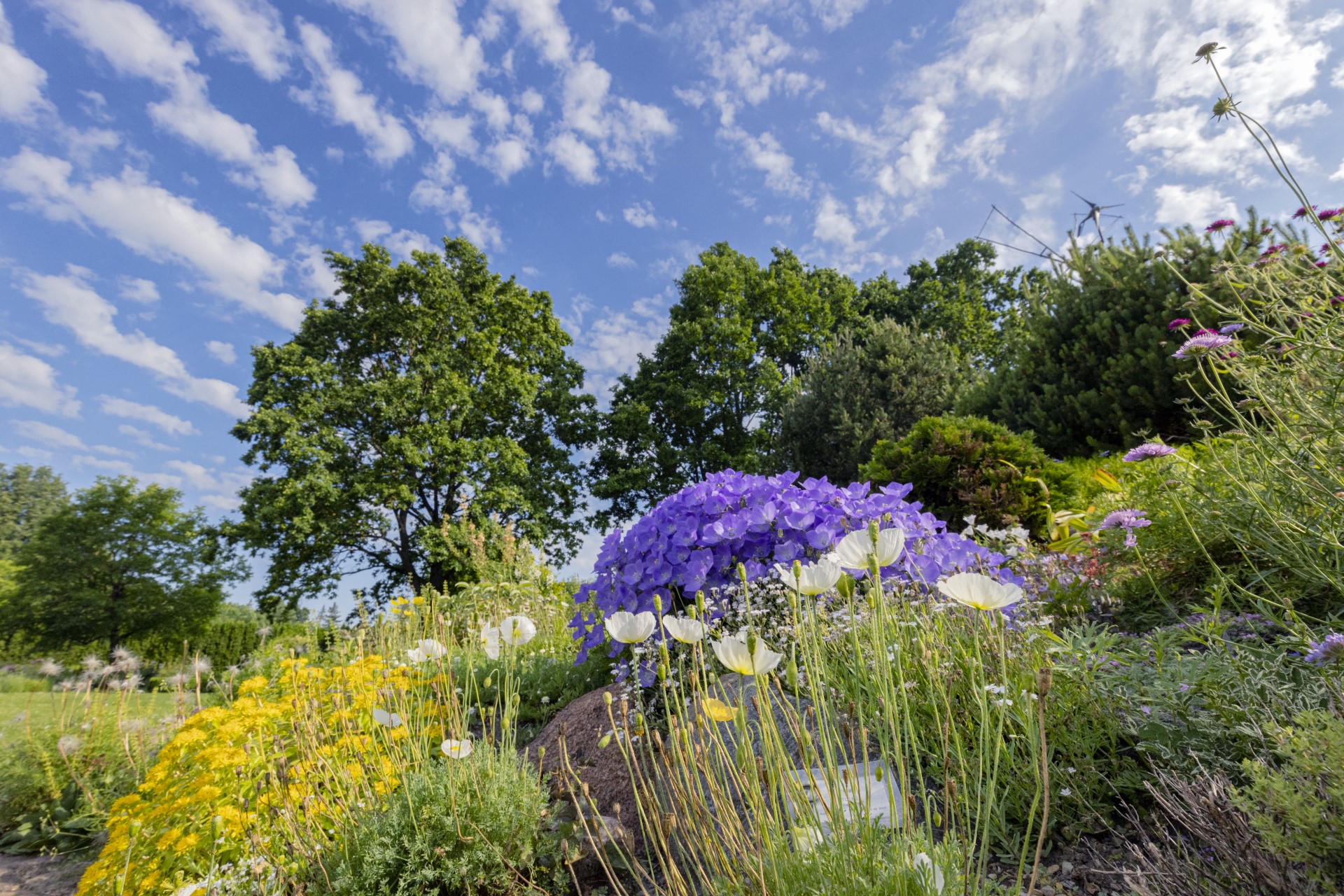 Botanical_Garden_D._eibelien_.jpg