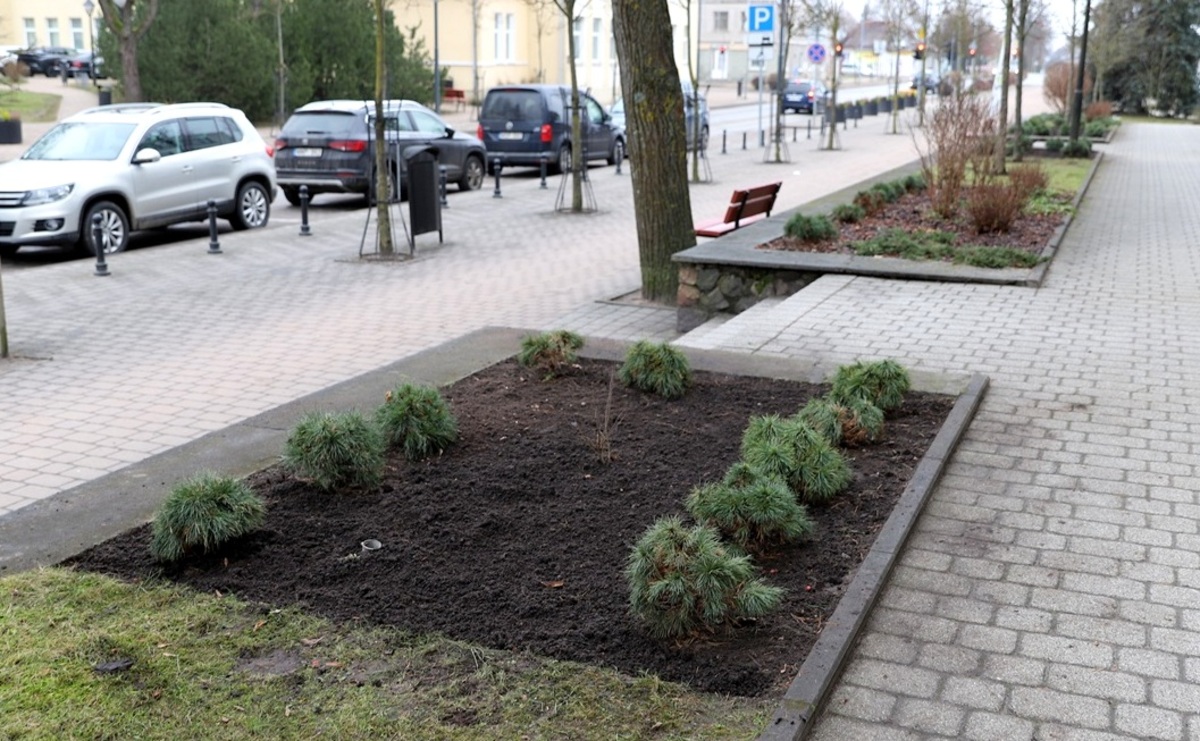 Mažeikių rajono savivaldybės nuotr.