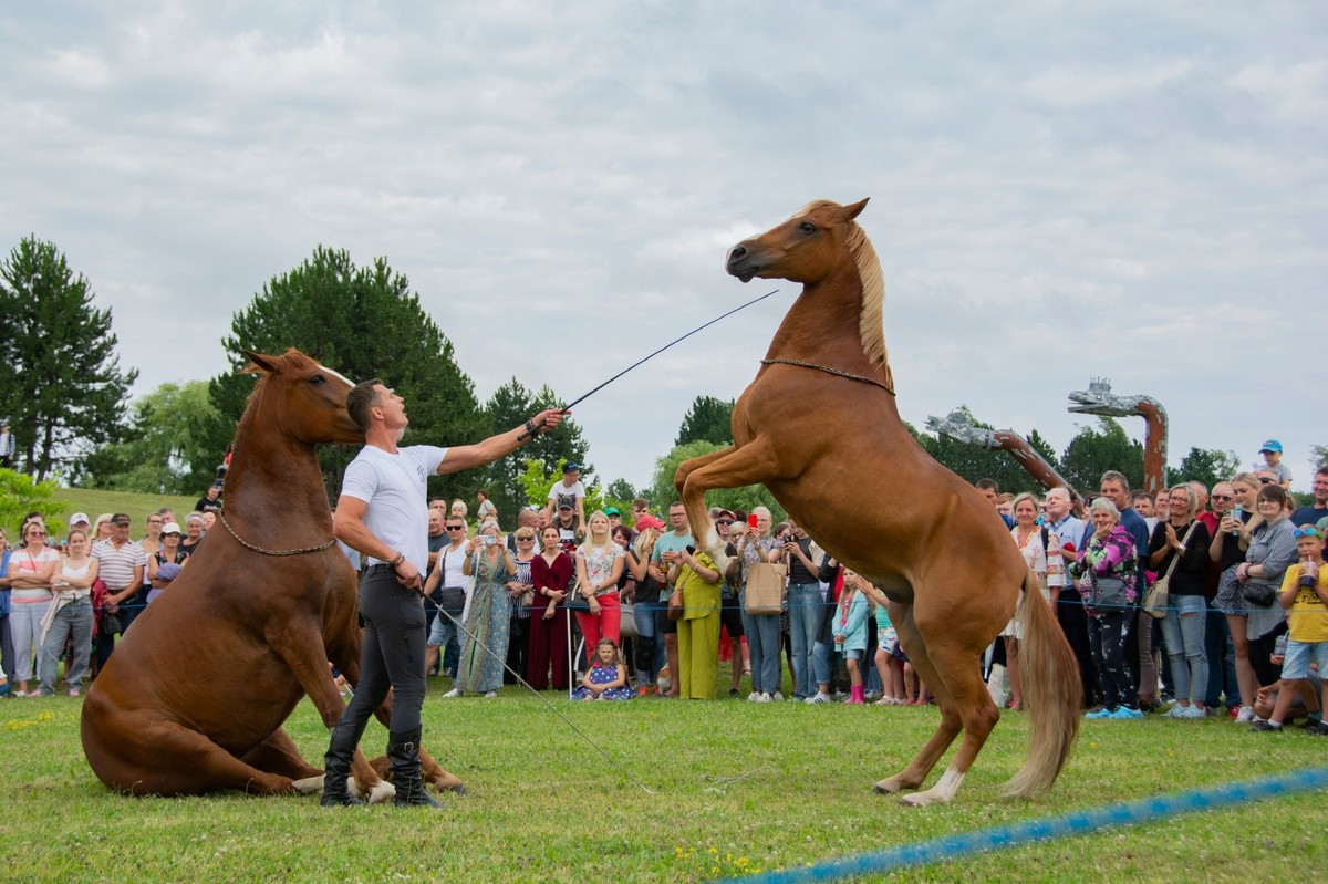 „Naisių vasara 2024“ festivalio nuotr.