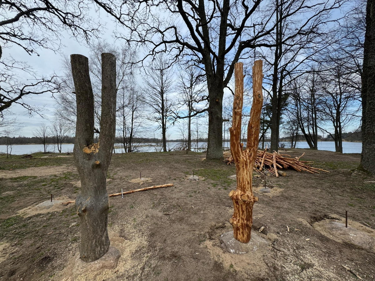 Mažeikių rajono savivaldybės nuotr.