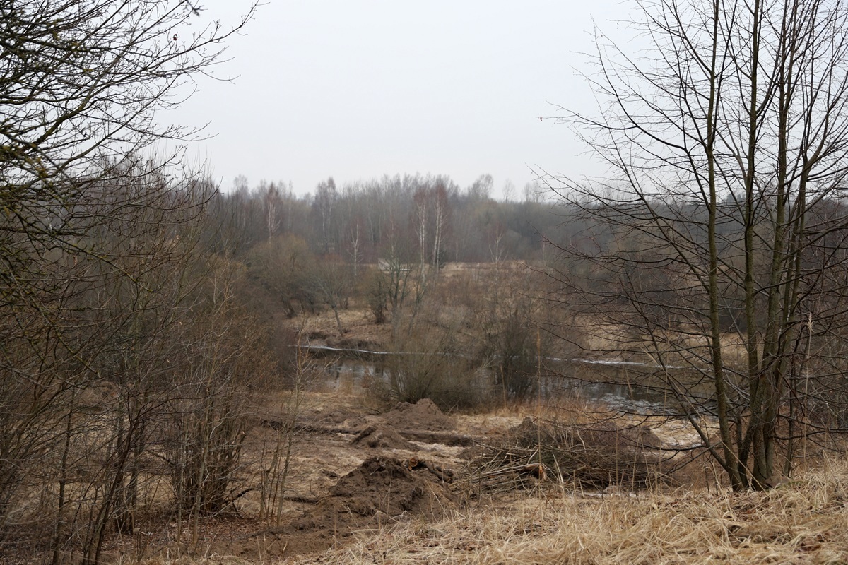 Mažeikių rajono savivaldybės nuotr.