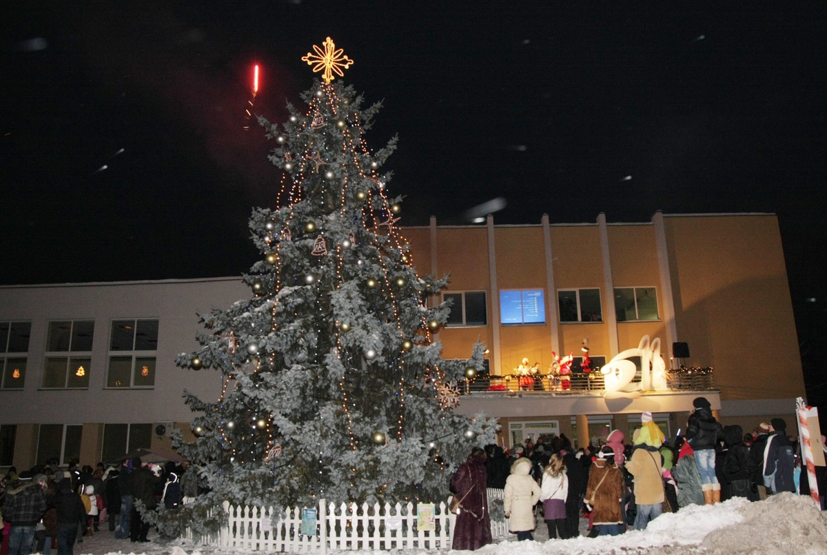 Eglutės įžiebimas 2011 metais / D. Vyto nuotr.