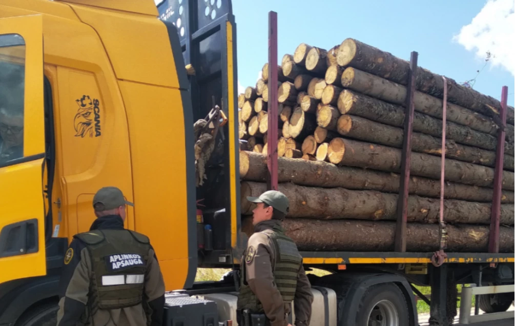 Pasienyje – apvaliosios medienos gabenimo patikrinimas