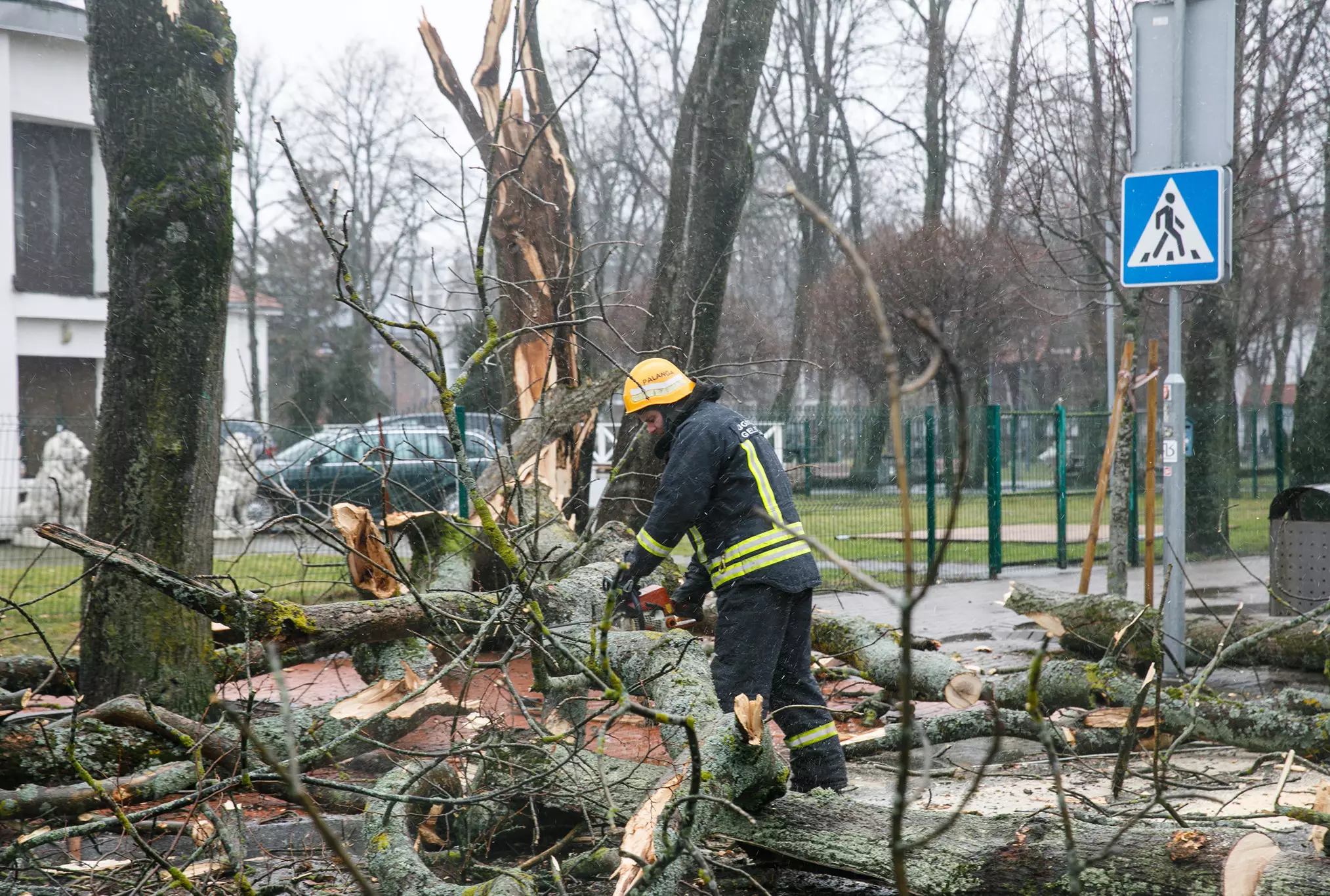 Ugniagesiai gelbėtojai apie 20 kartų vyko padėti dėl vėjo nulaužtų medžių