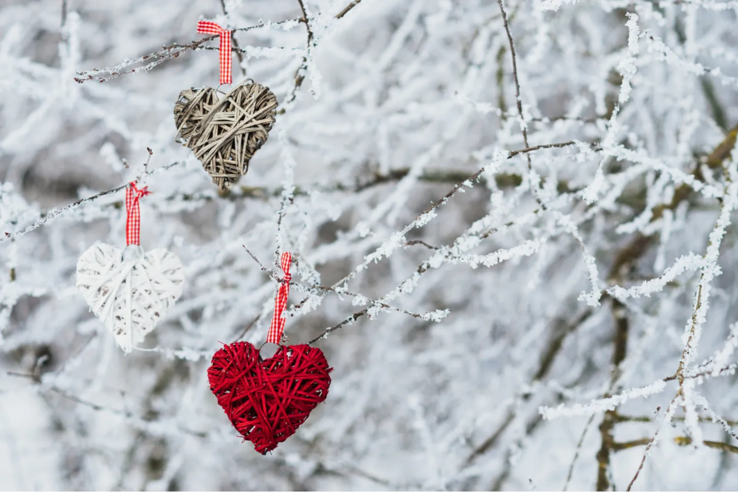 valentines-hearts-winter-nature-background-valentines-day-concept