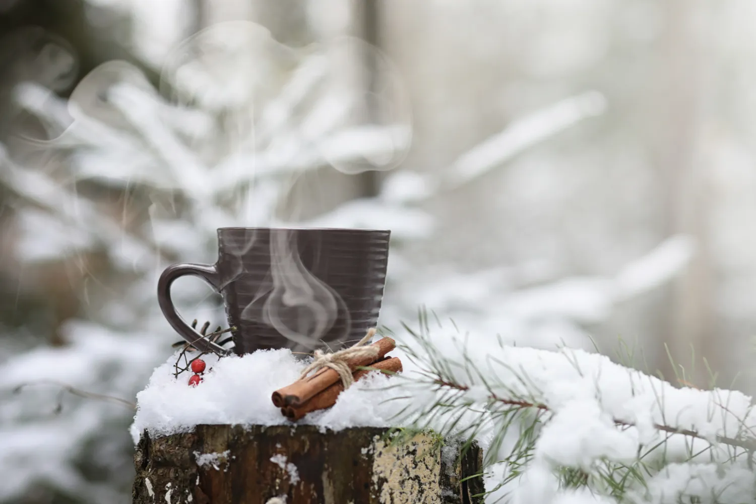 cup-with-hot-drink-winter-forest-hot-cocoa-with-cinnamon-background-winter-forest-first-snow-hot-chocolate