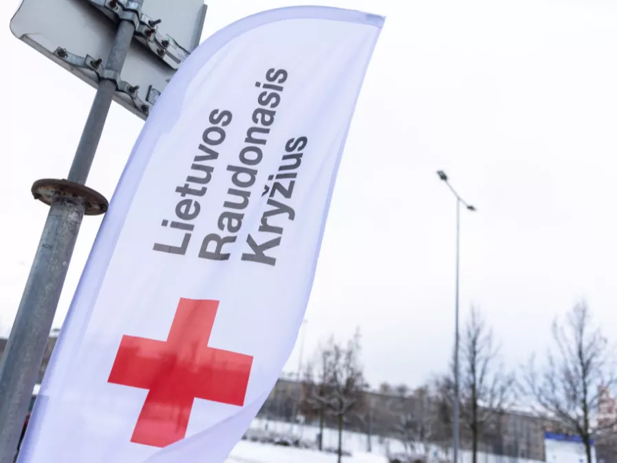Raudonasis Kryžius: pabėgėliai Lietuvoje susidūrė su problemomis dėl prieigos prie psichologinės ir medicininės pagalbos