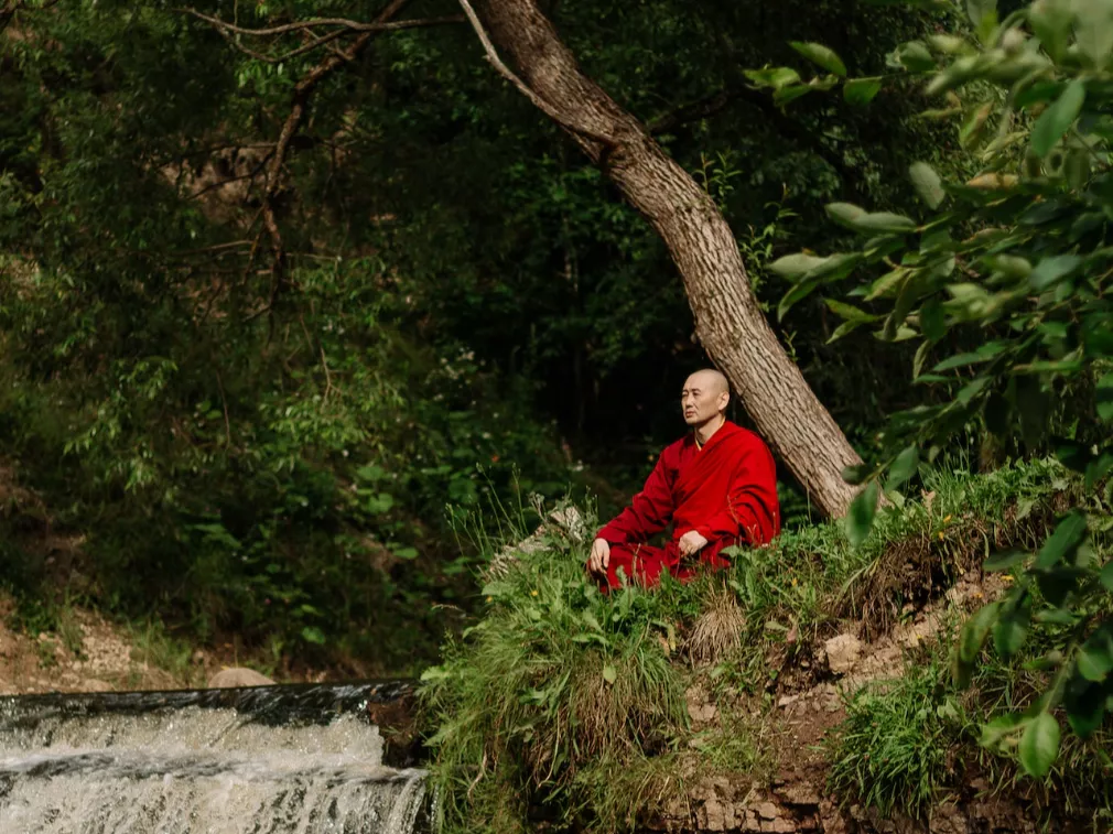 Tyrimas su vienuoliais atskleidė, kad meditacija ne tik mažina stresą, bet ir keičia žarnyno mikrobų sudėtį