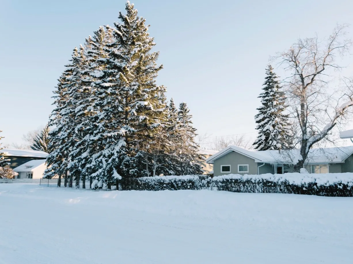 houses-with-pine-trees-winter_23-2147803908