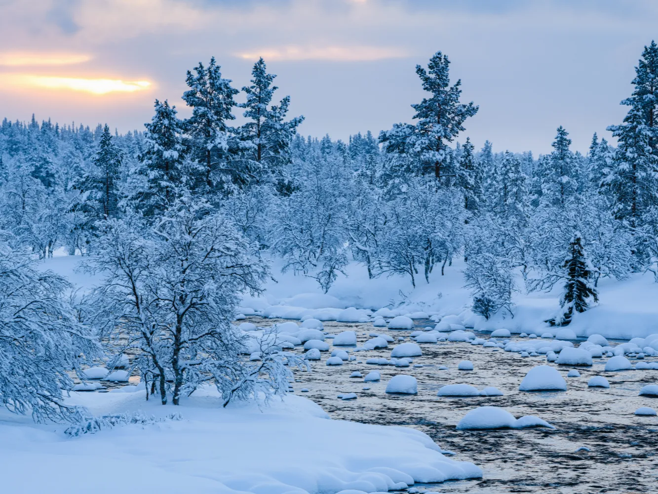 river-with-snow-it-forest-near-covered-with-snow-winter-sweden