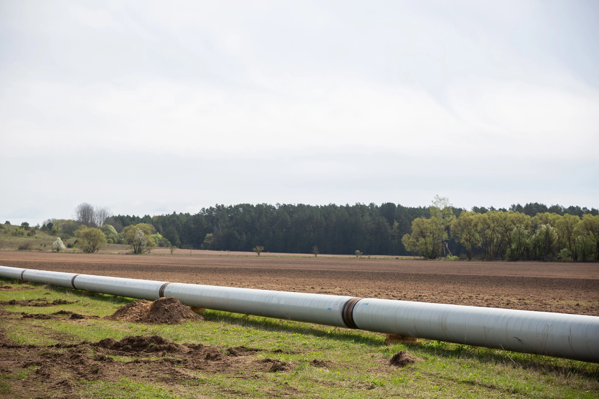 Vokietijos ekspertai: nuotėkių iš „Nord Stream“ dujotiekių žala gamtai bus rimta
