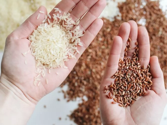 Kuo pagrįstas dietologų patarimas vietoj baltų ryžių rinktis ruduosius?