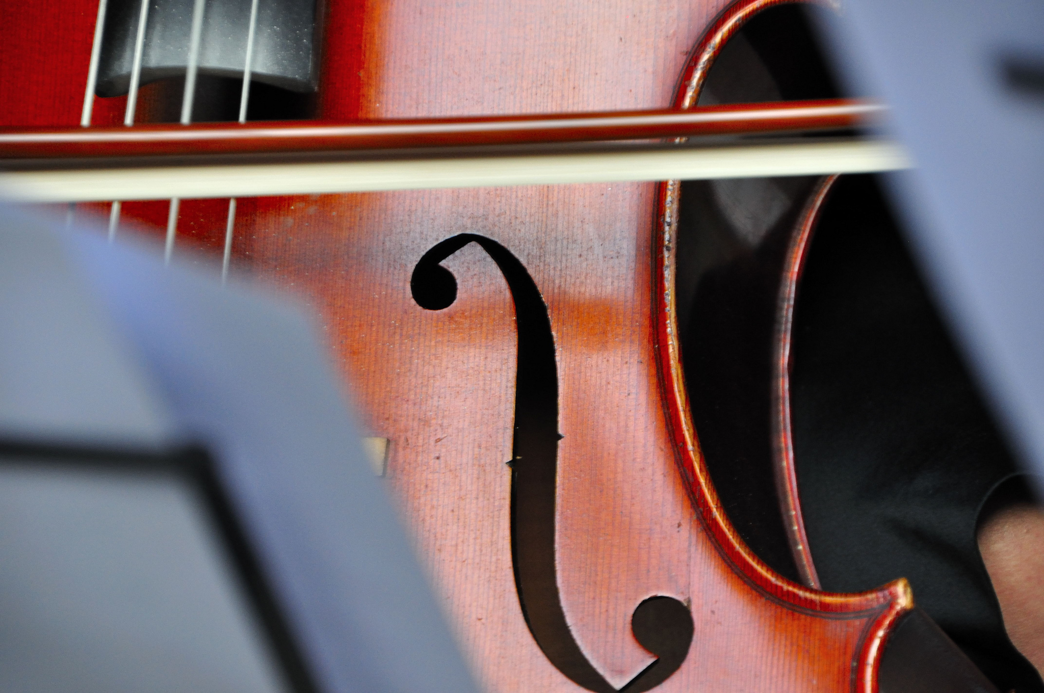 Pirmąją gegužės savaitę Klaipėda taps violončelės sostine