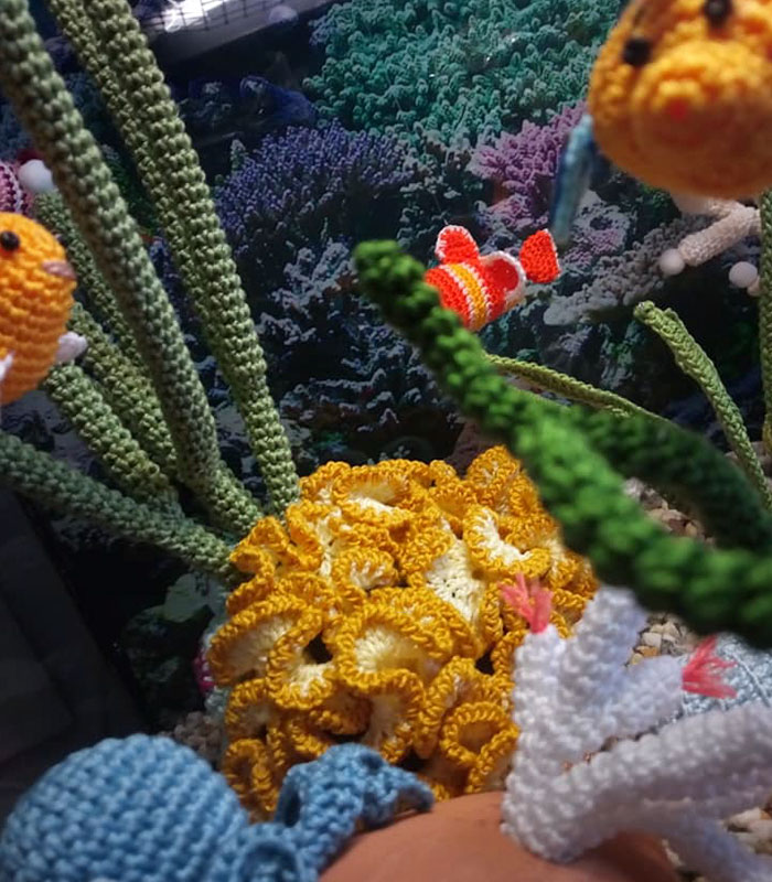 crocheted-aquarium-lindadi-creations-5ebbfa16daa74-700.jpg
