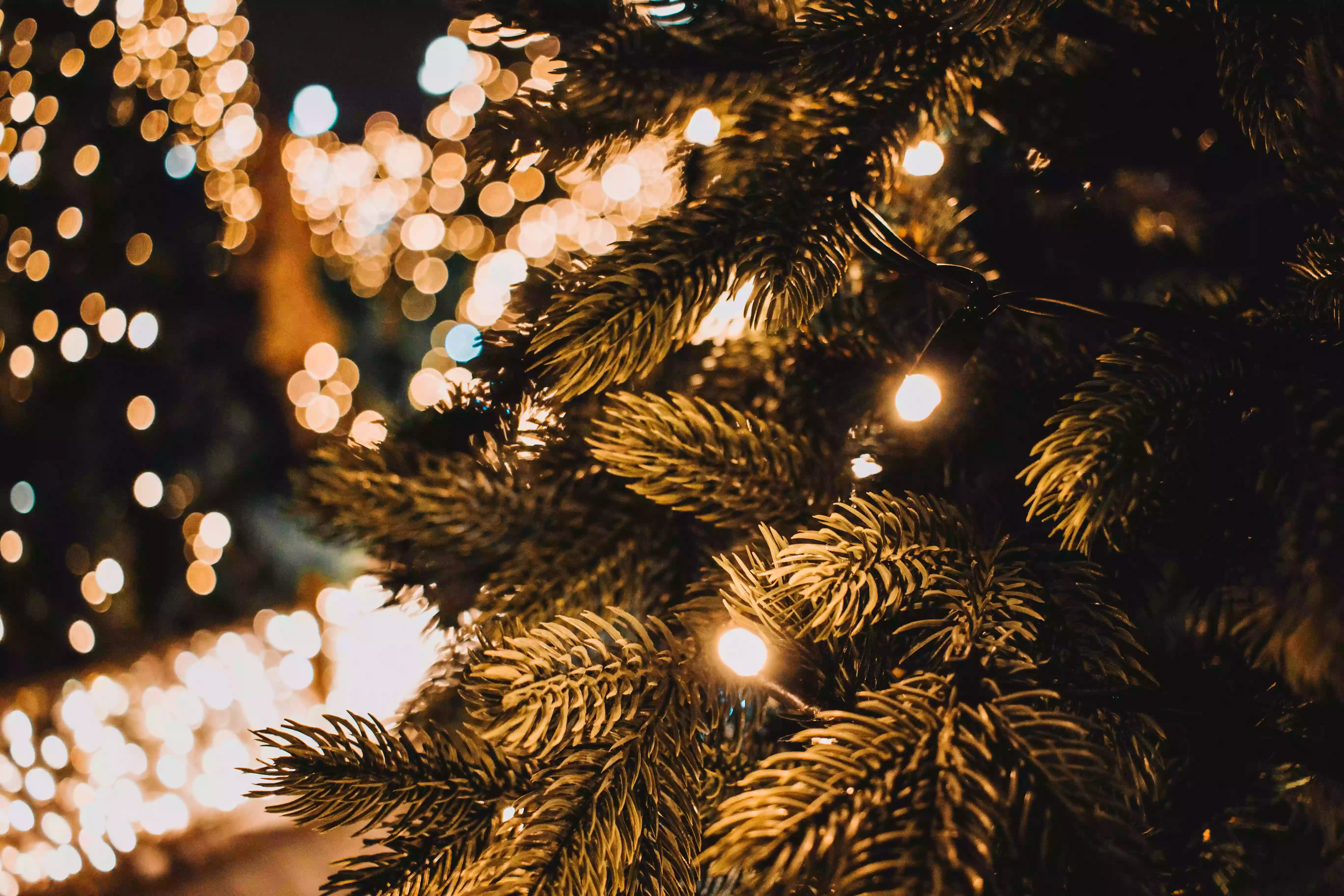 Prienai Kalėdas pasitiks atsinaujinę: vilios papuošimai ir ypatinga dovana